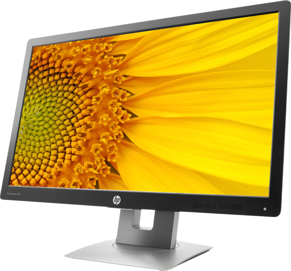 HP EliteDisplay E232 LED Monitor